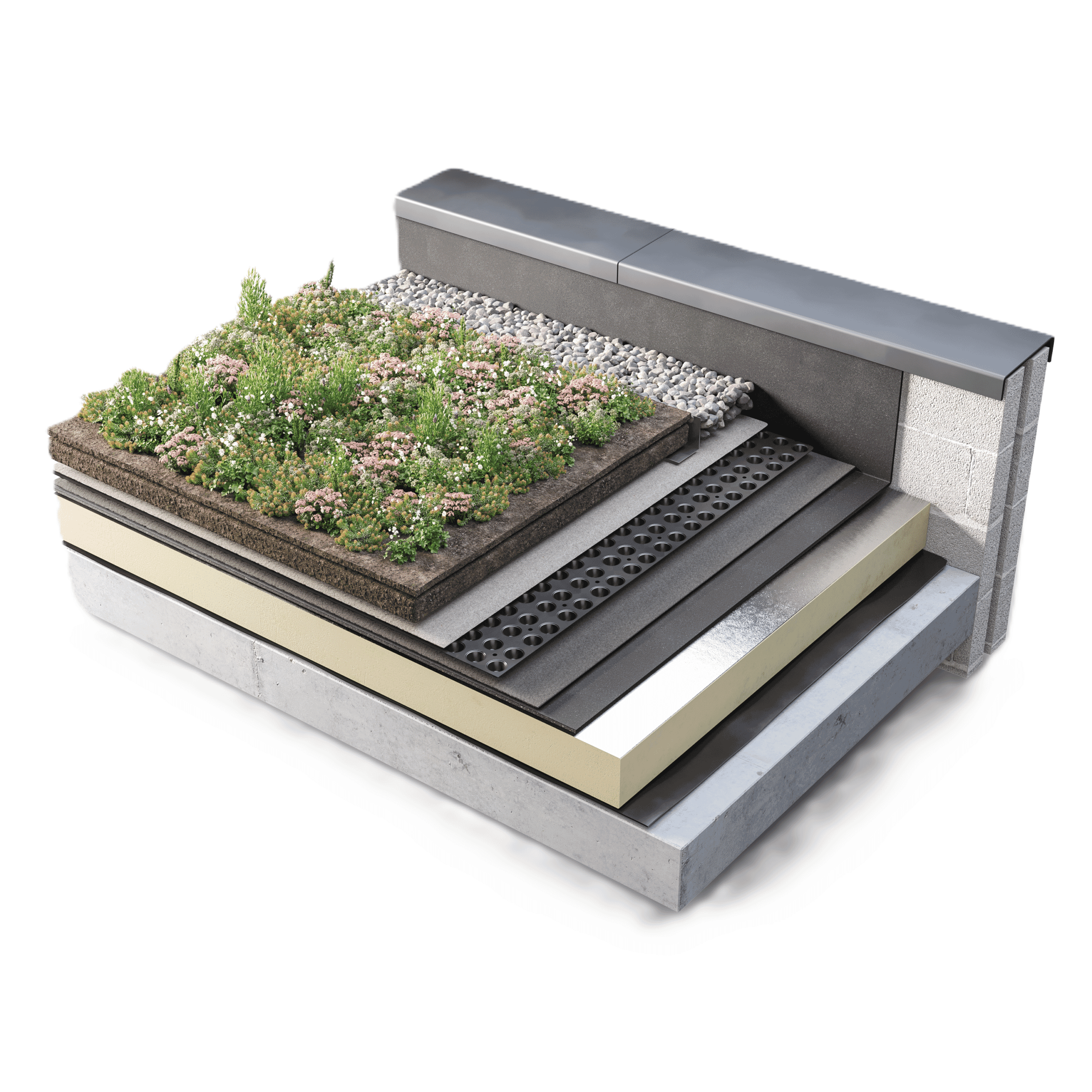 SG_System_Sedum_Blanket-1-scaled.png?w=1024&h=1024&scale