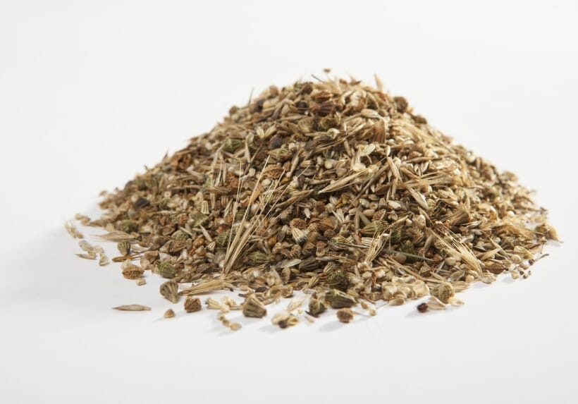 wildflower-seed-product-main