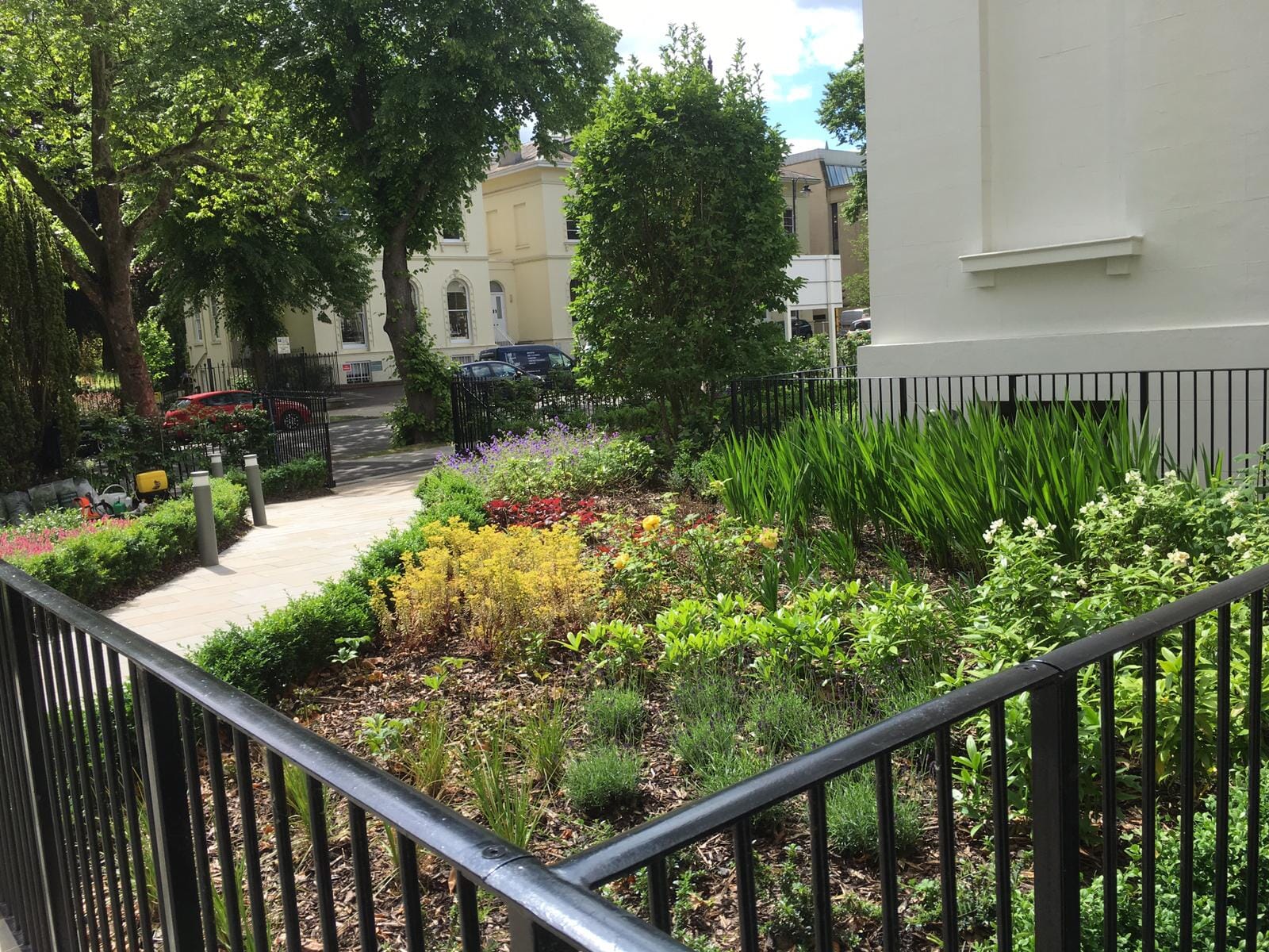 2019-06-06-11.31.18-5-1