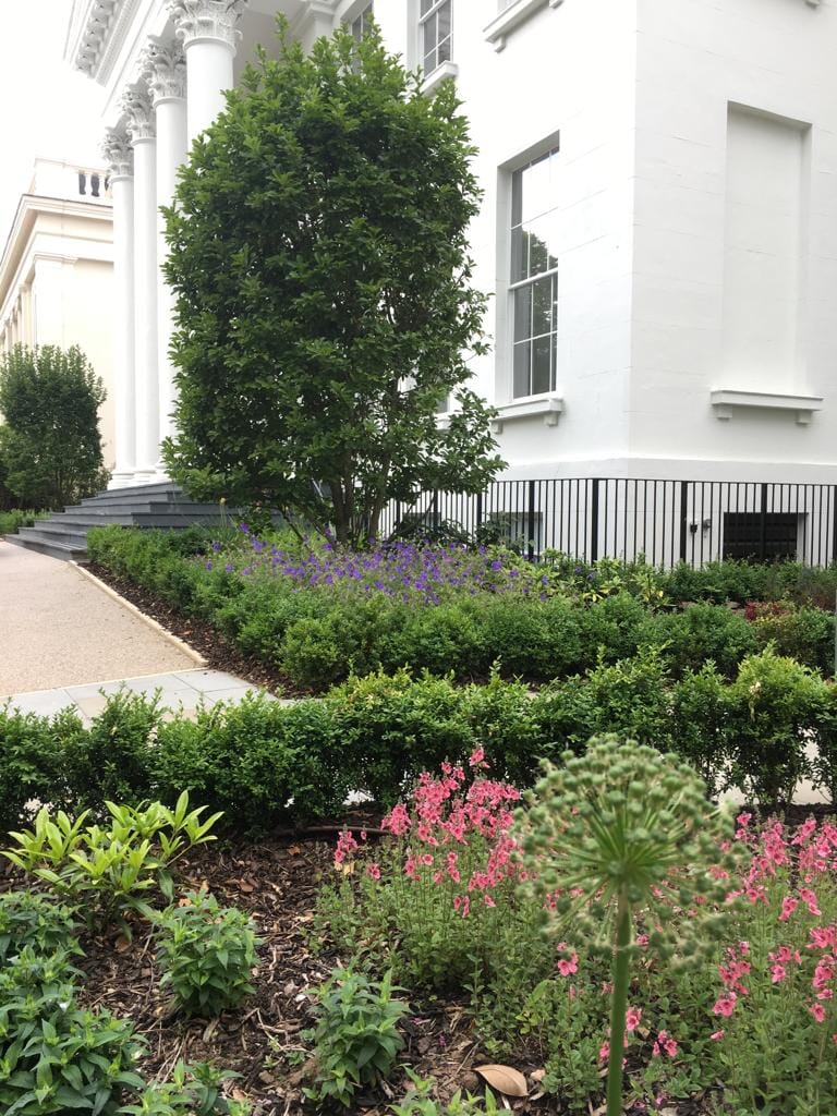 2019-06-06-11.32.31-12