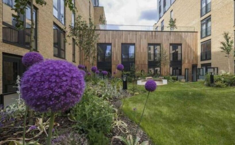 how-to-keep-a-green-roof-garden-green-main-large