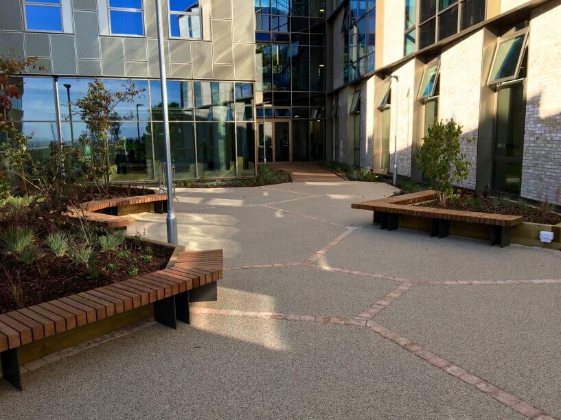 integrating-nature-into-urban-spaces-with-biophilic-design-main-large