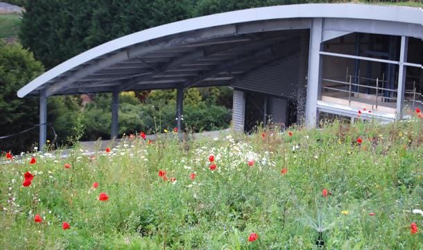 kanes-irrigation-main-slide