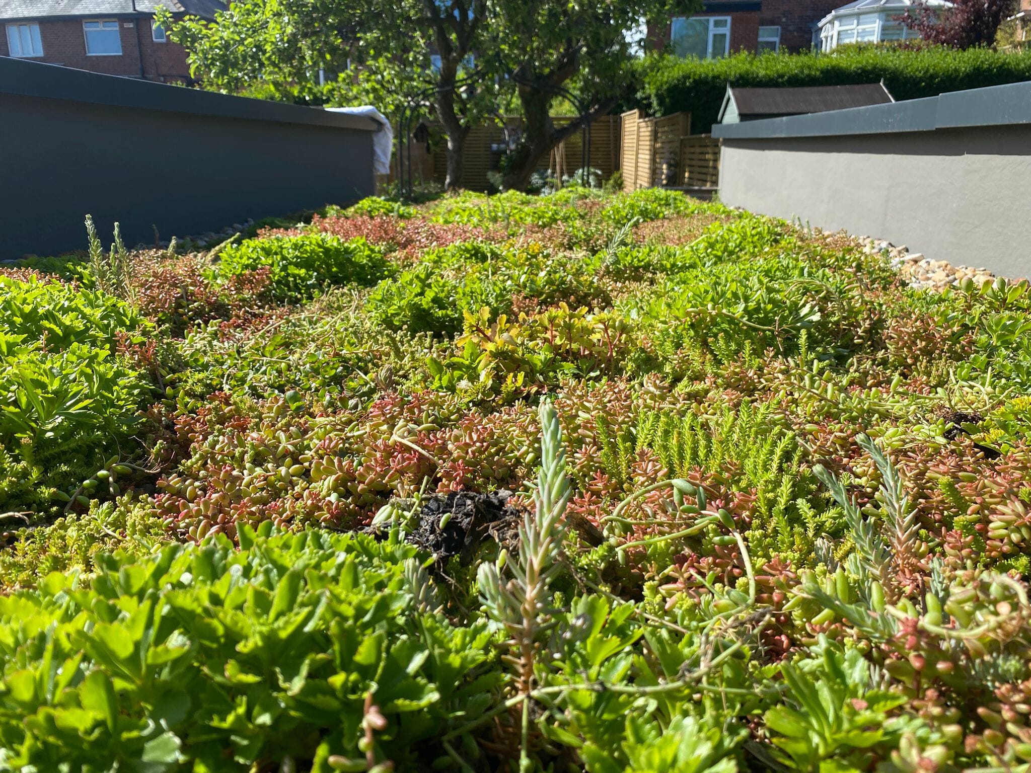 2-AFTER.jpg?w=1024&h=768&scale