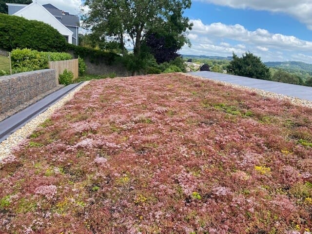 Final-Visit-initial-maint