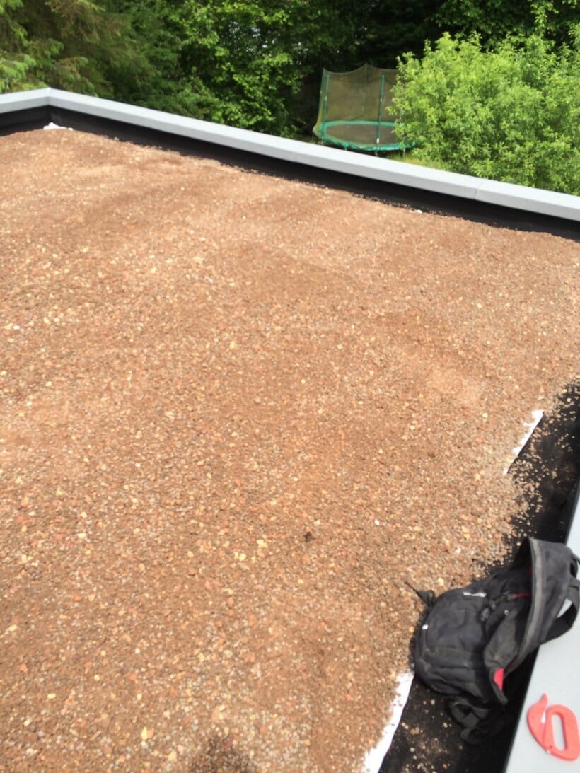 burnt-wood-grove-wildflower-green-roof-3-main-slide.jpg?w=768&h=1024&scale