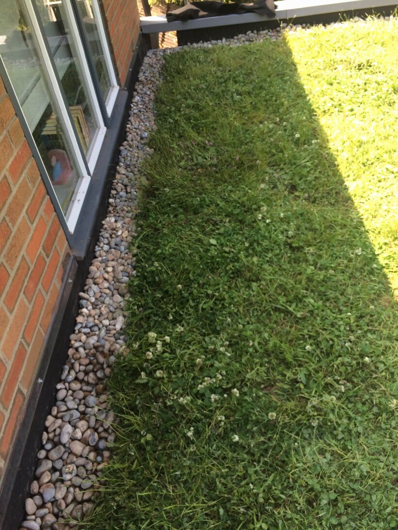 burnt-wood-grove-wildflower-green-roof-5-main-slide.jpg?w=768&h=1024&scale