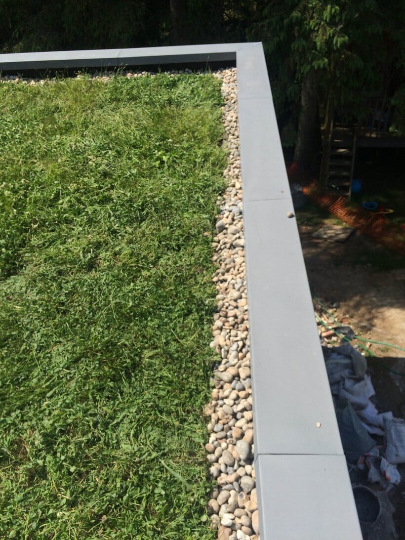 burnt-wood-grove-wildflower-green-roof-6-main-slide.jpg?w=768&h=1024&scale