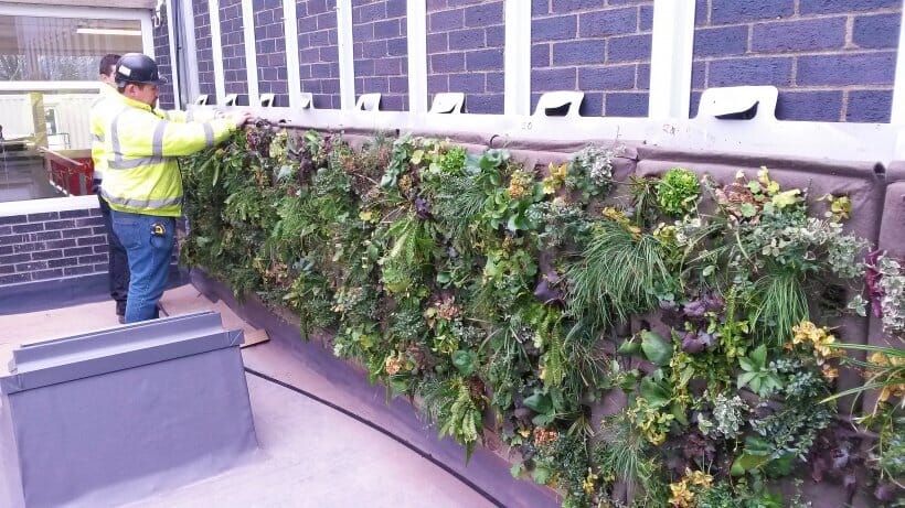 colas-rail-green-wall-1-main-slide