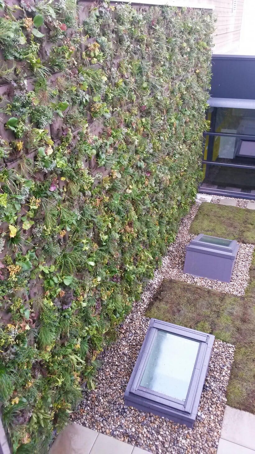 colas-rail-green-wall-3-main-slide.jpeg?w=576&h=1024&scale