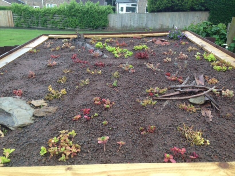 durham-green-roof-1-main-slide