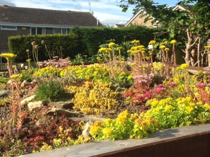 durham-green-roof-2-main-slide