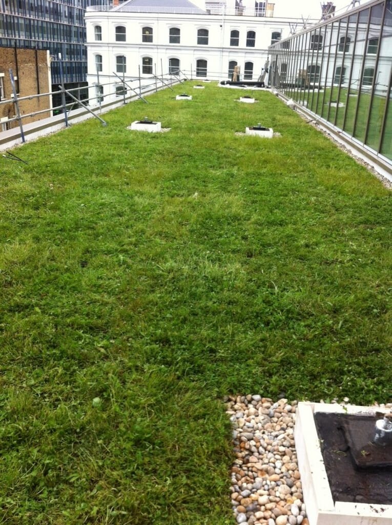 Hilton Bankside - London Wildflower Blanket