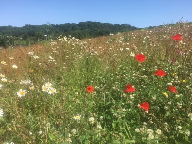 irrigation-at-gloucester