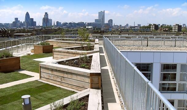 maintenancerooflevel