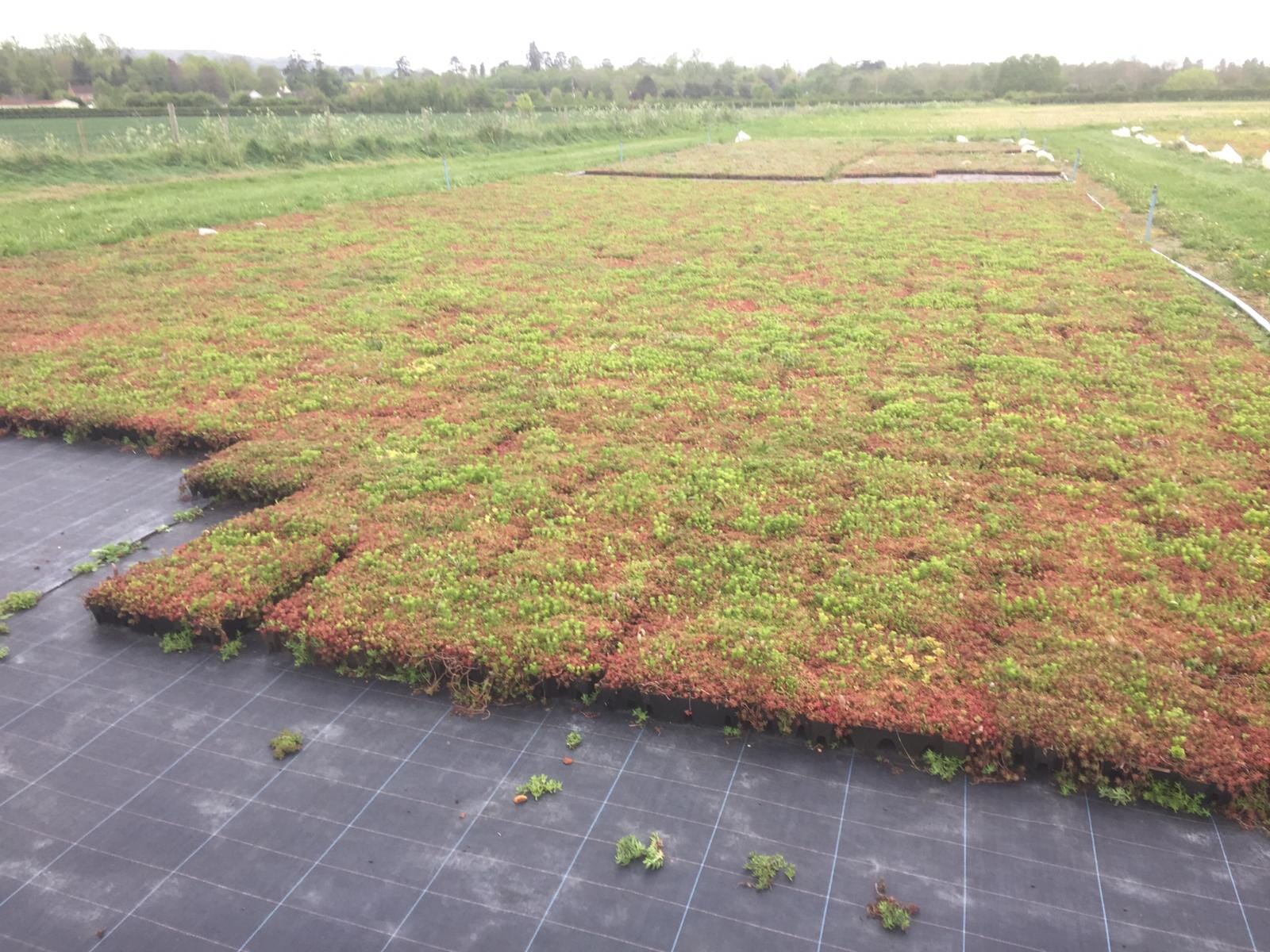 modular-trays.jpg?w=1024&h=768&scale