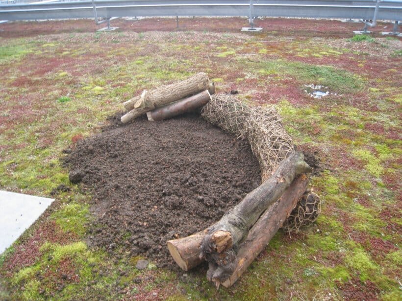 wood-street-london-sedum-and-bio-diverse-green-roof-3-main-slide