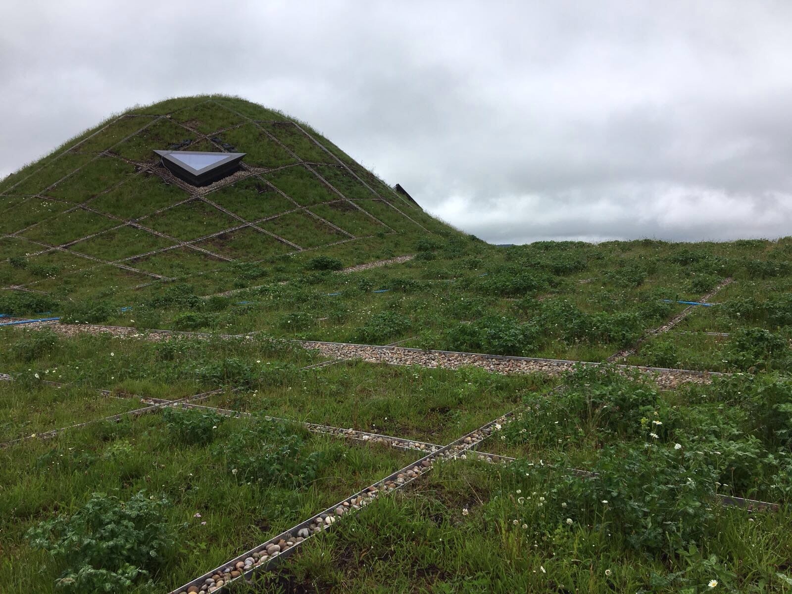 IMG_2568-Macallan-4-1.jpg?w=1024&h=768&scale