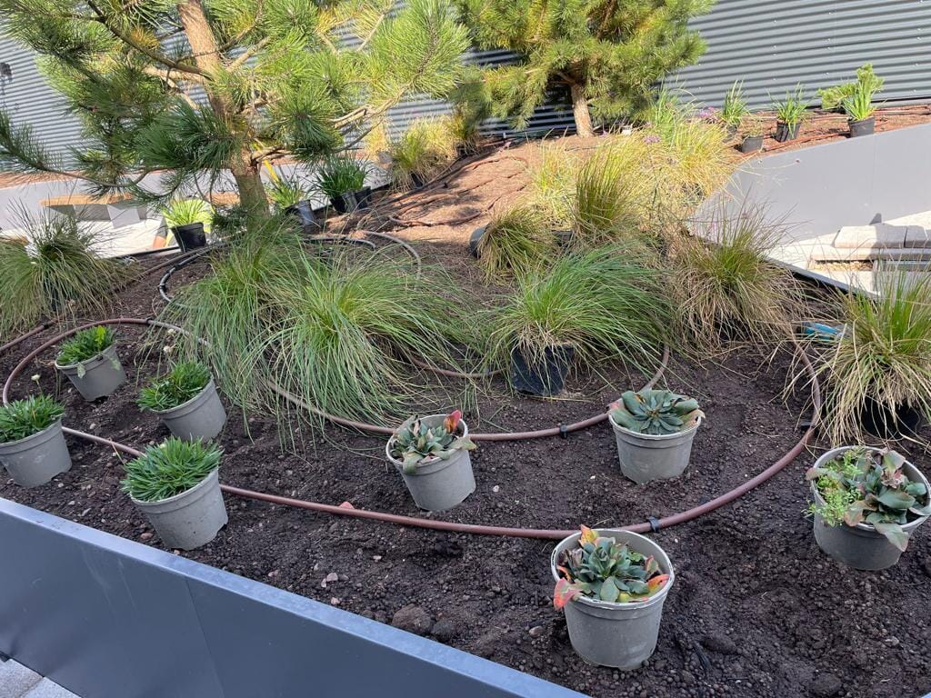 8A36E7FB-7393-4677-A0B0-B24D3C024934