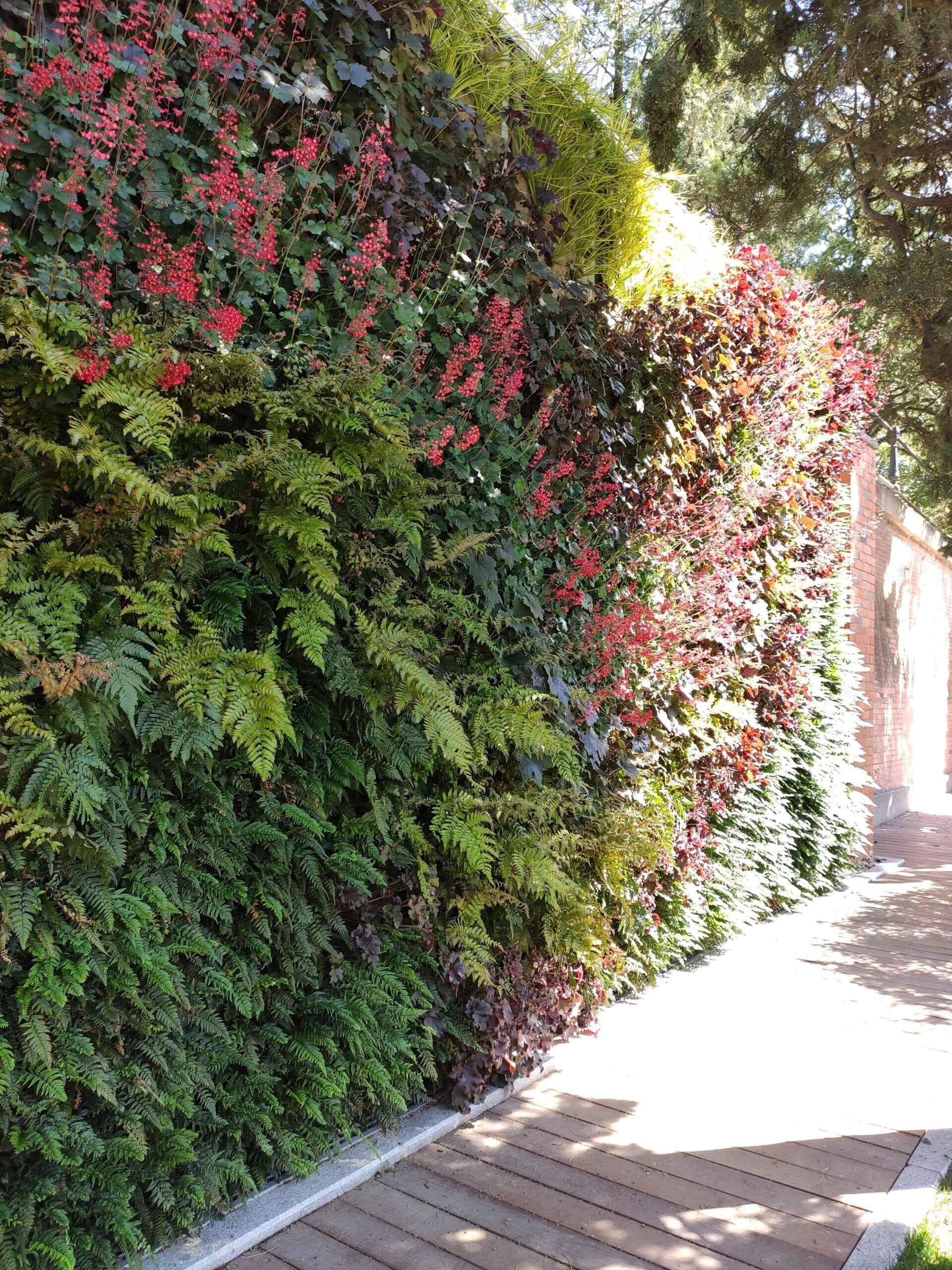 IMG_20210407_155330-scaled.jpg?w=768&h=1024&scale