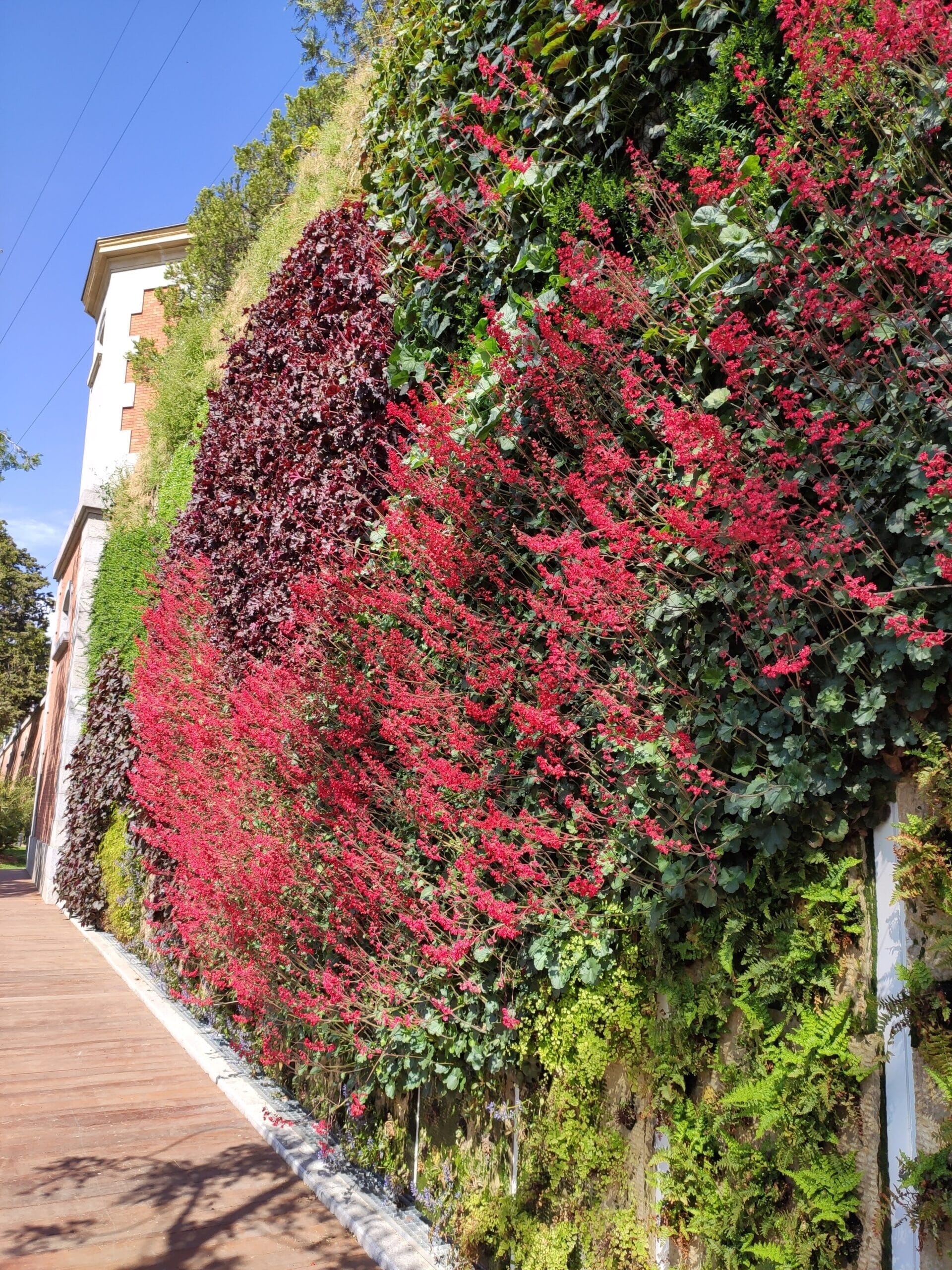 IMG_20210407_161454-scaled