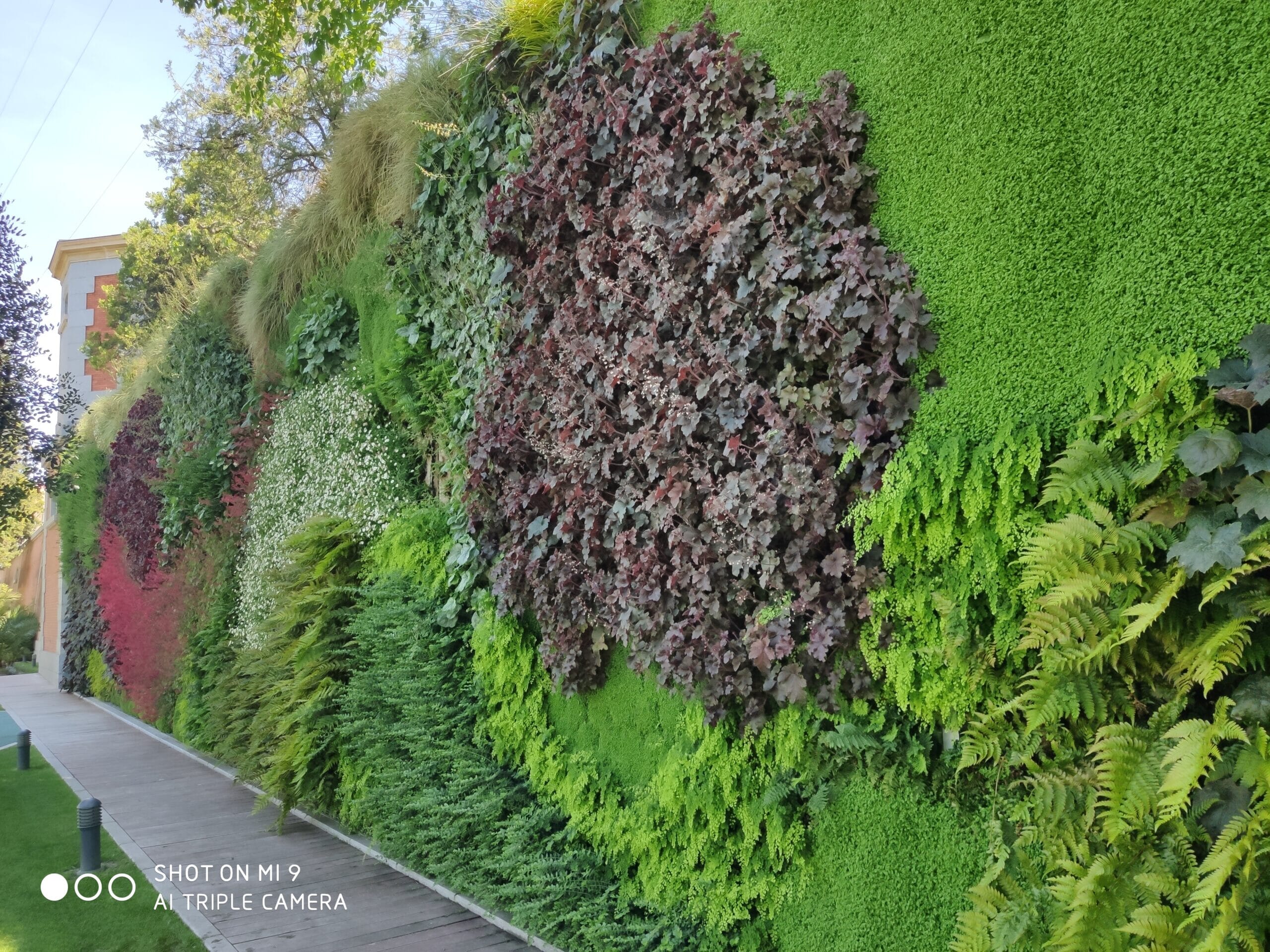 IMG_20220510_124435-scaled