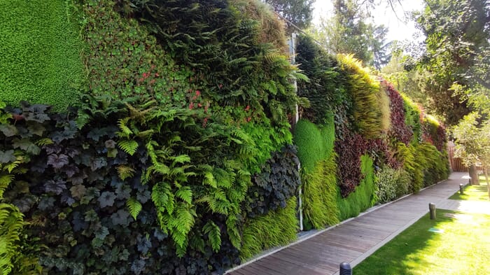 Canal Isabel Green Walls