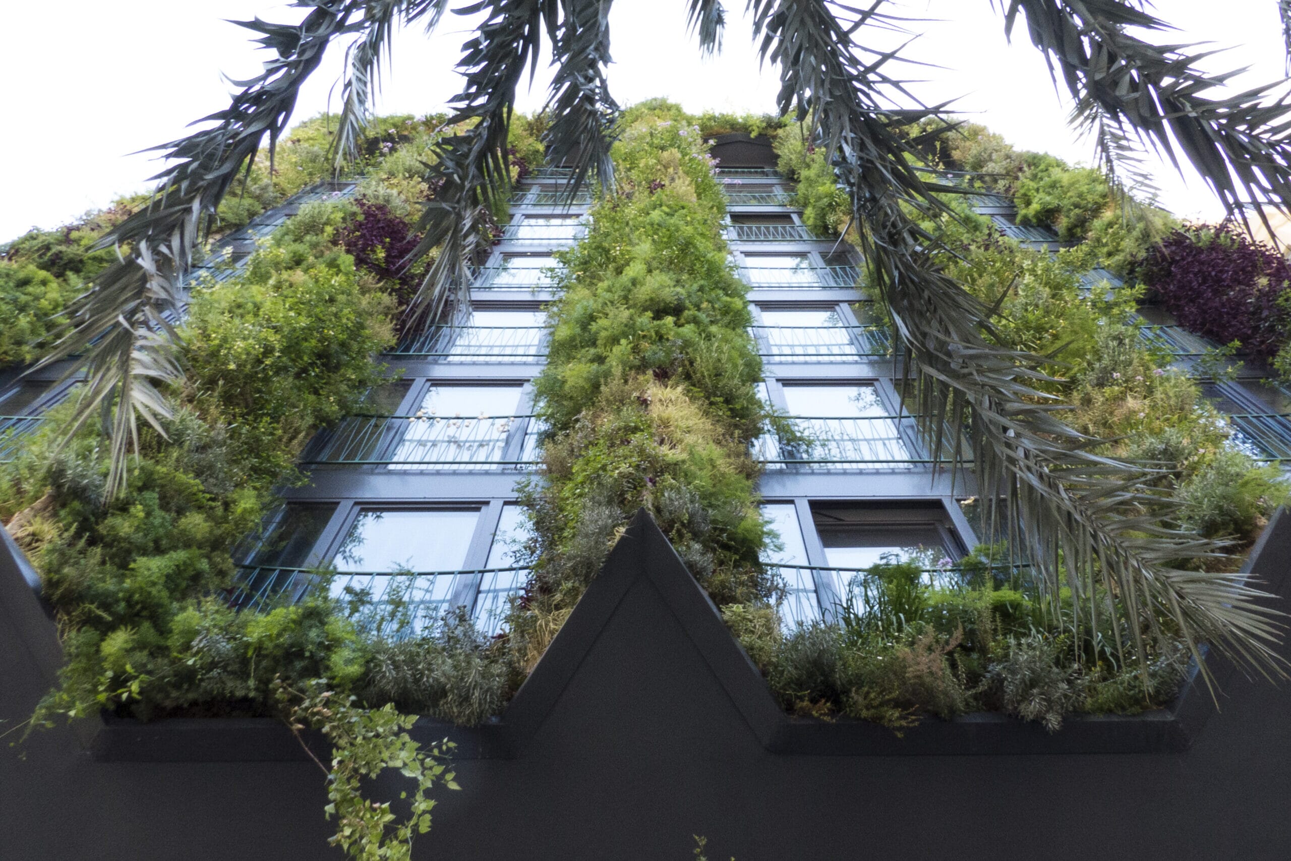 Jardin_SUITERS-06-scaled