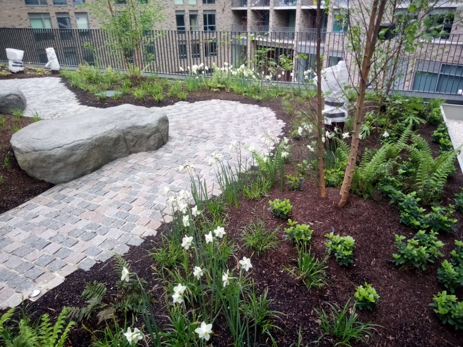 WhatsApp-Image-2024-04-11-at-17.26.11_2f1260a2.jpg?w=1024&h=768&scale