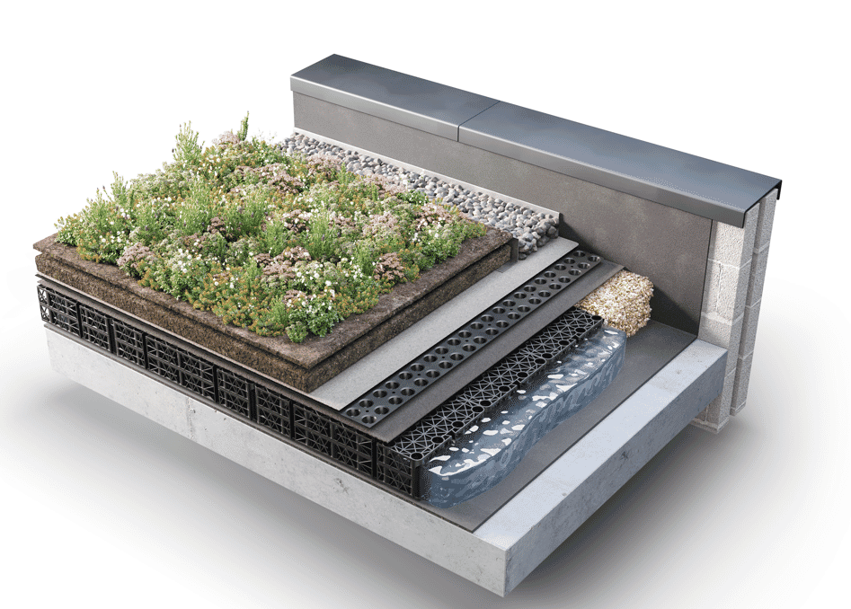Blue-roof-diagram-1-e1741183660595.png?w=1024&h=769&scale