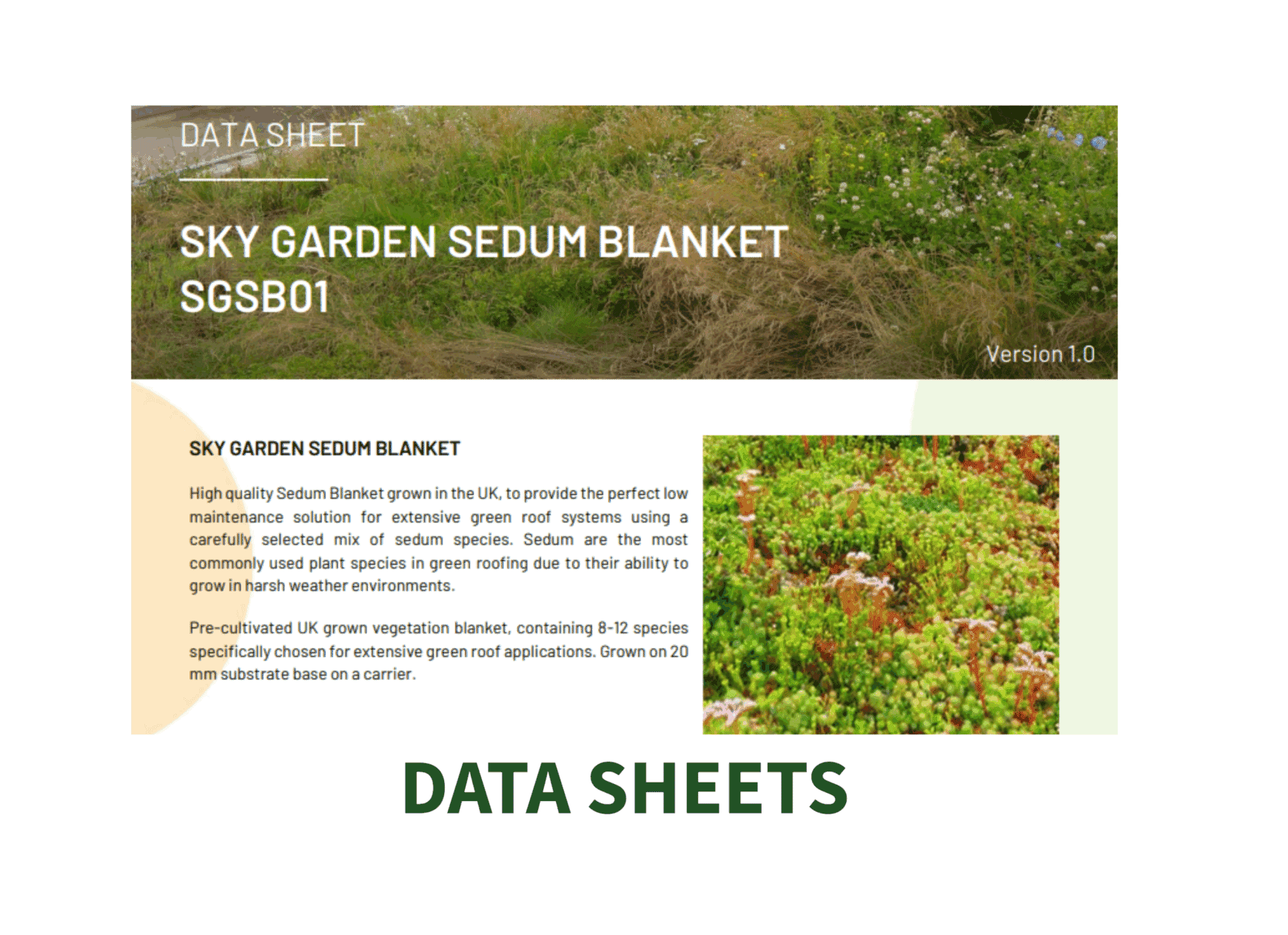 Untitled-40-scaled-e1756997415937.png?w=1024&h=743&scale